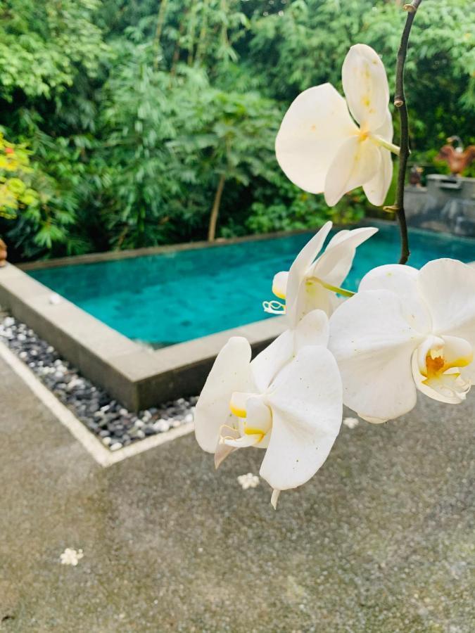 Gek House Bali 2*