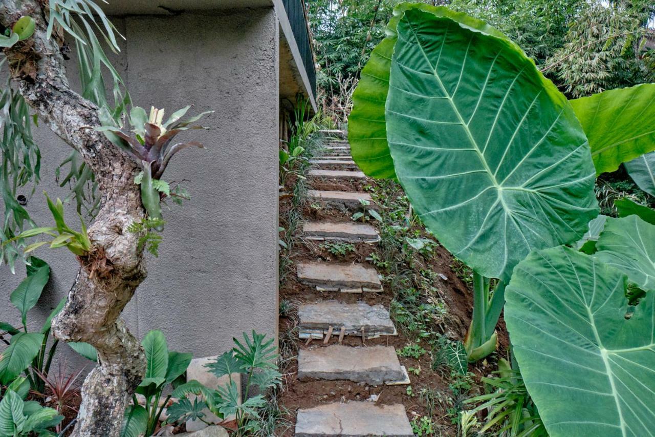 Gek House Bali Guest house Ubud (Bali)
